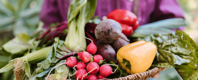 Demystifying Beets: Whats in Them and Why Theyre a Superfood