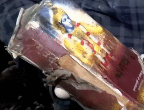 The mystery of the sole survivor and the intact Bhagwat Geeta