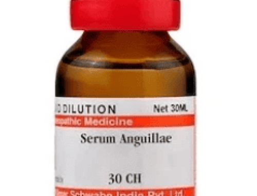 Eel serum Serum anguillae for Kidney Problems