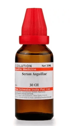 Eel serum Serum anguillae for Kidney Problems