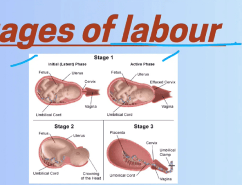 Normal Labour Explained: A Step-by-Step Guide to Signs, Stages and Progress